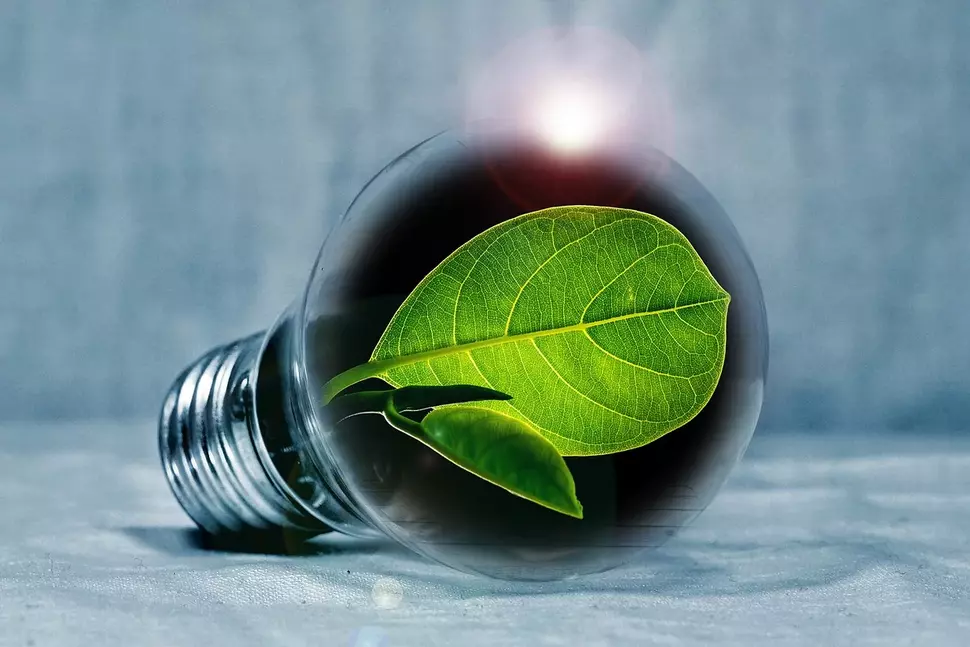 Green Energy (Source: pixabay)