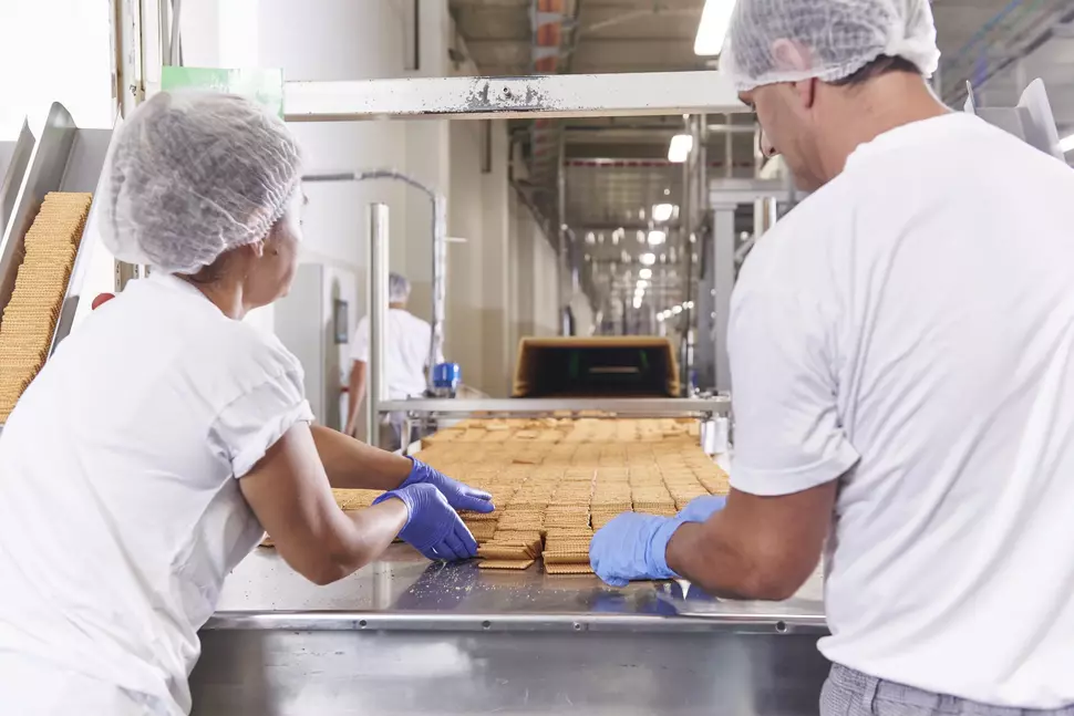 Produktion von Butterkeksen (Quelle: Lebensgarten GmbH / Adorf)