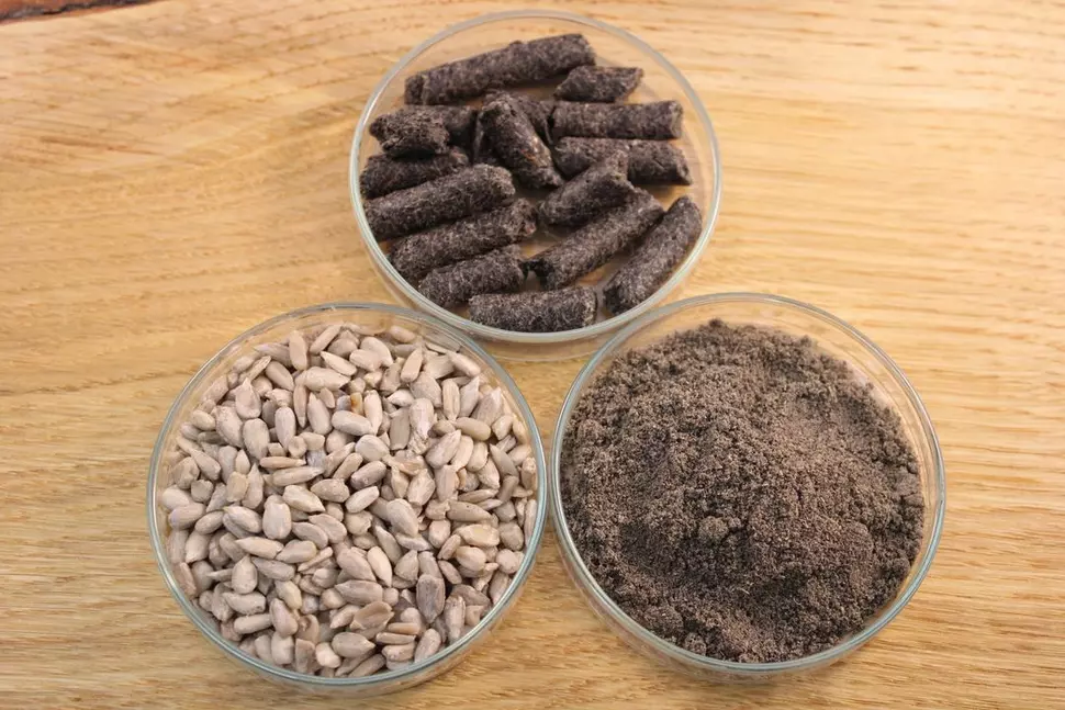 Bottom left: shelled sunflower seeds, top: sunflower press cake, bottom right: ground sunflower press cake