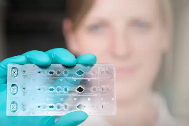 Platzhalterbild DIANA / POCT (Quelle: Fraunhofer IZI)