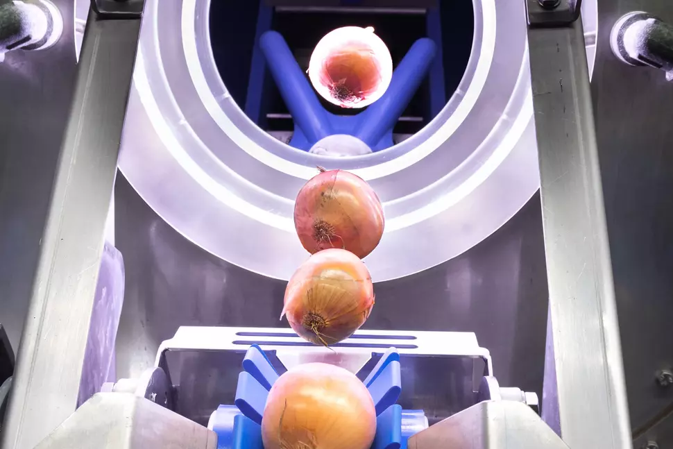 Branchen,  Ernährung,  FoodTech,  Maschinenbau