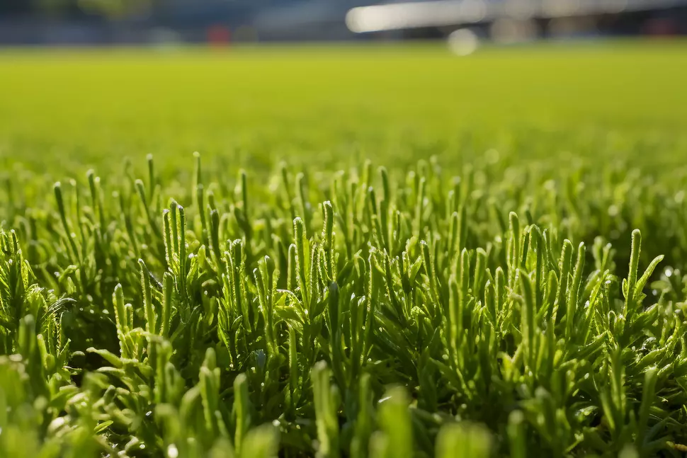 Close-up of artificial turf on a baseball field
