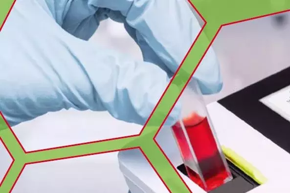 Titel Flyer Life Sciences