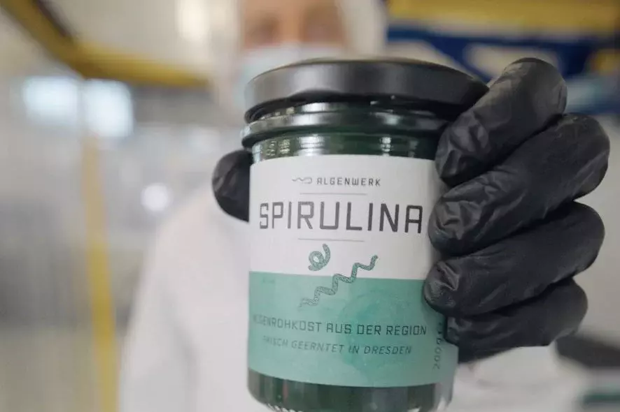 ALGENWERK: Fresh spirulina in a jar (170g)