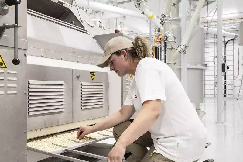 An employee checks the quality of oatmeal at the Rubinmühle mill in the Vogtland region