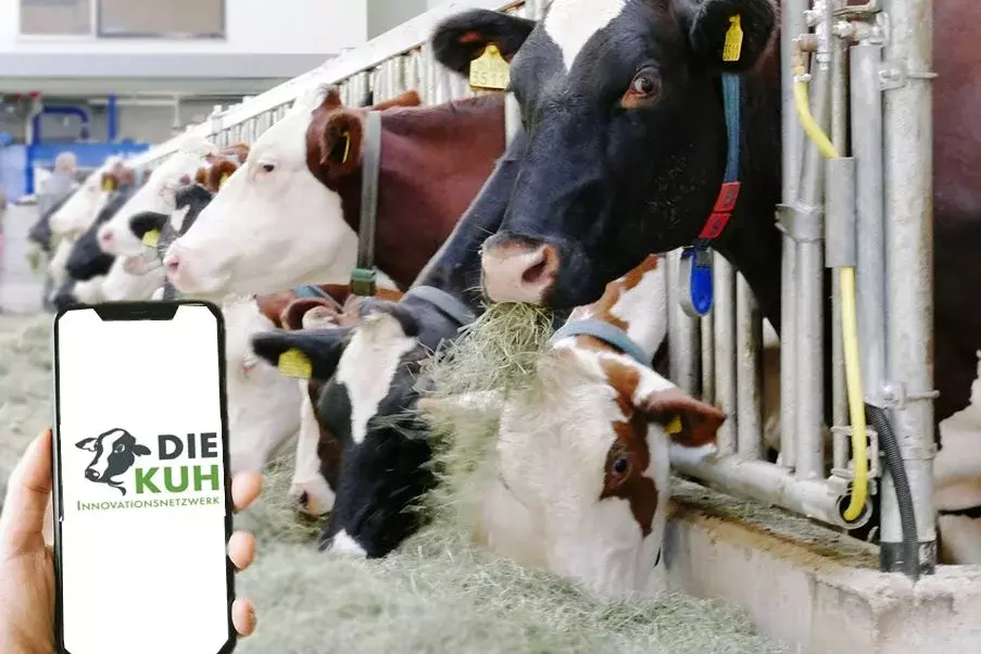 Digitalization in the cowshed (Source: pixabay, Netzwerk DIEKUH)
