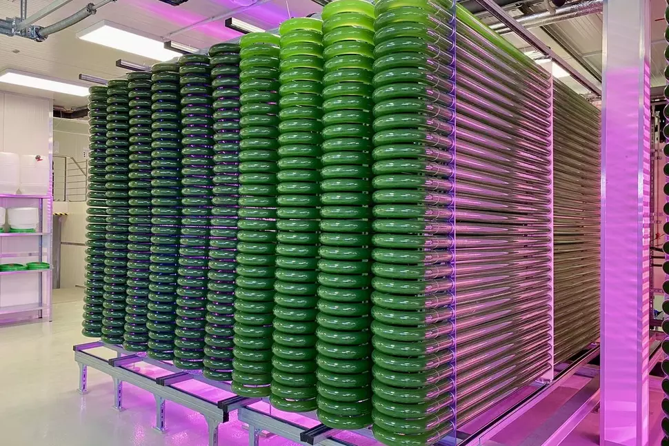 PACT photobioreactor for industrial scale